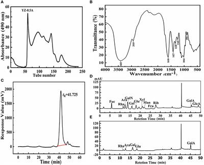 Polysaccharide extracted from pomelo fruitlets attenuate hepatic lipid accumulation in hybrid groupers (Epinephelus lanceolatus♂ × Epinephelus fuscoguttatus♀)